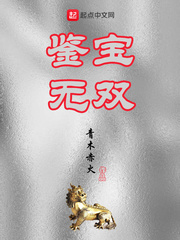 鉴宝无双小说免费阅
