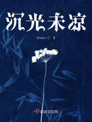 沉光归南路小说晋江