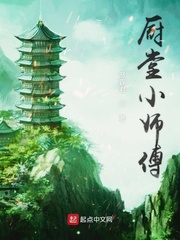 厨师小说