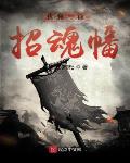 我有一面刺客