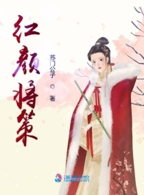 职场红颜小说免费阅读