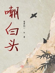 不与他白头小说全文免费阅读