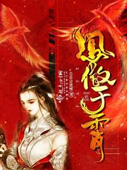 凤傲天 小说