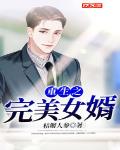 重生之完美女婿唐峰