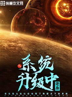 系统升级中暂不支持号卡激活