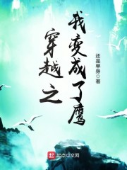 穿越之我变成了鹰txt小说免费阅读全文