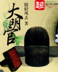 箱子里的大明小说txt