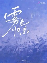 雾色归京免费阅读晋江