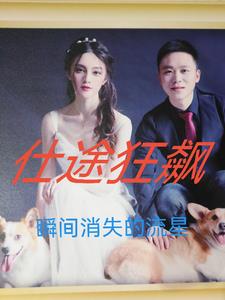 仕途狂飙:让我进步?可我进部了!