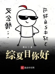 综夏目新帐